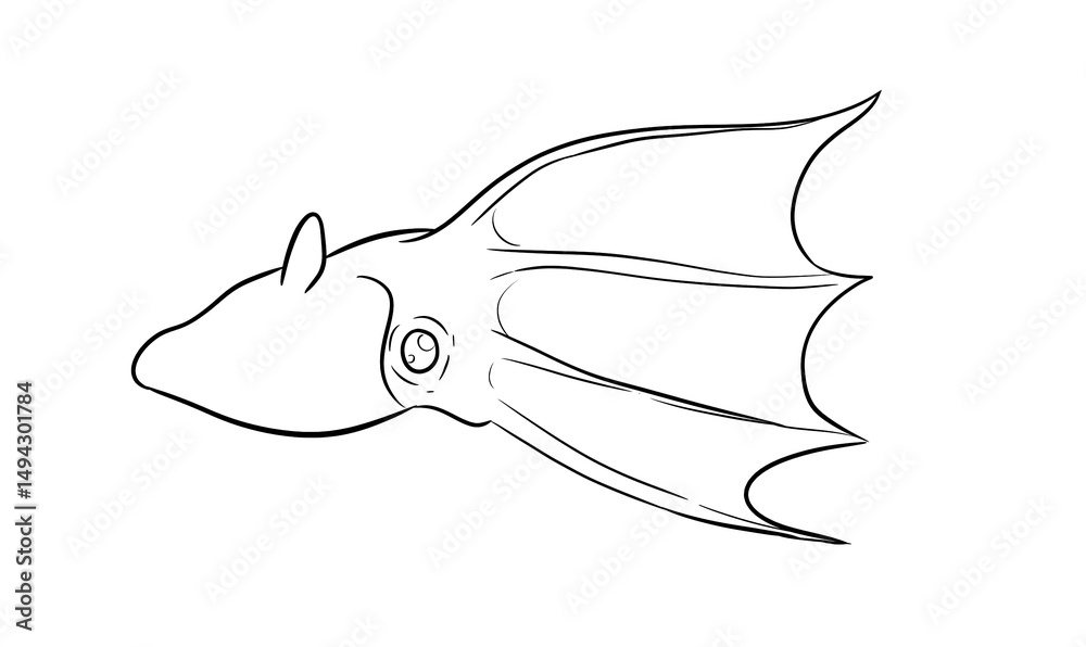 Fototapeta premium vampire squid digital drawing illustration isolated