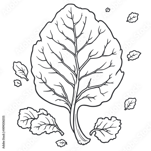 Leafy Greens Coloring Page A Simple Illustration Of Beet Green For Creative Coloring Activity