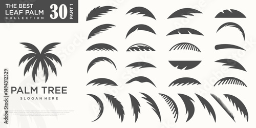 Tropical Palm leaf icon set logo design template . vector illustration