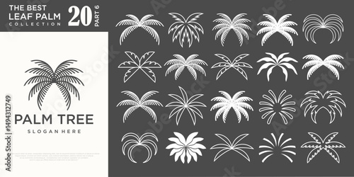 modern palm tree logo design . vector icon set illustration