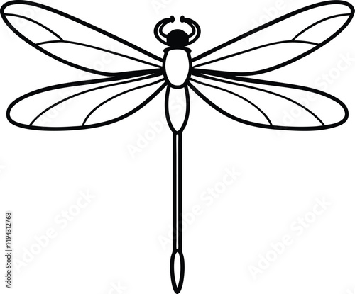 dragonfly on white background