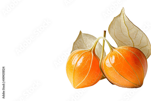 two orange fruits with leaves on a white background