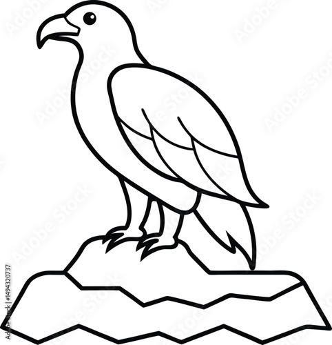 dove of peace vector