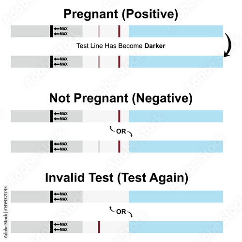 HCG Pregnancy Test Strips Showing Positive, Negative, and Invalid Results, Vector for Health Education and Fertility Awareness
