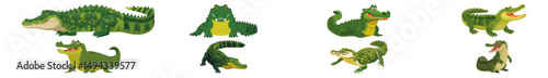 Set of Alligator Flat Vector Illustration on Transparent Background