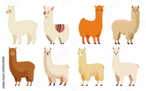 Set of Alpaca  Flat Vector Illustration on Transparent Background