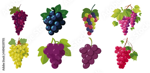 Set of  Bunch of grapes Flat Vector Illustration on Transparent Background