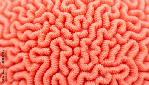Abstract Organic Texture of Brain Coral in Trendy Coral Color — Natural Pattern Background