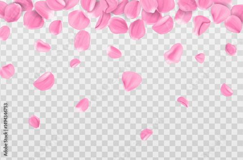 3d realistic vector illustration. Frame of Pink sakura petals falling isolated on transparent background. Beauty and cosmetic background presentation.