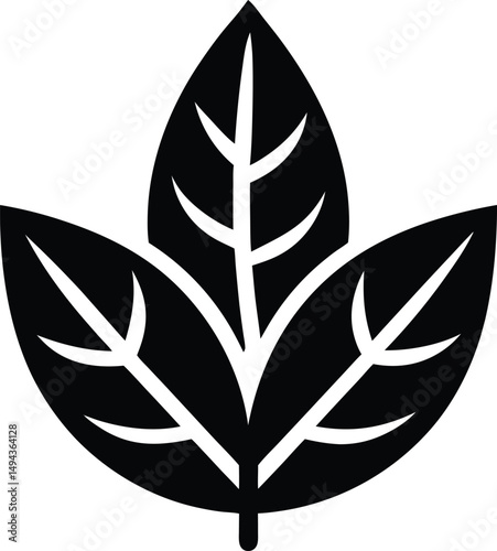 tea leaf icon vector illustration
