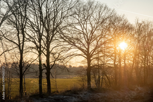 A breathtaking and serene sunrise emerges beautifully through the silhouetted trees in a calm, early morning landscape