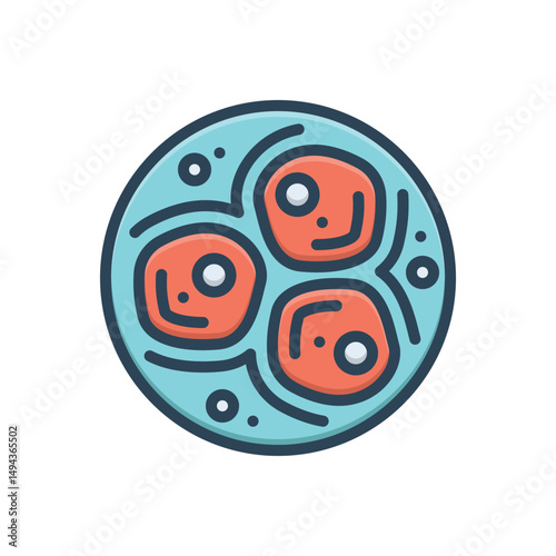 Color illustration icon for zygote