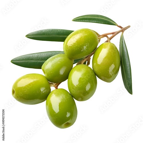 Wallpaper Mural Green olives on branch fresh harvest healthy food Torontodigital.ca