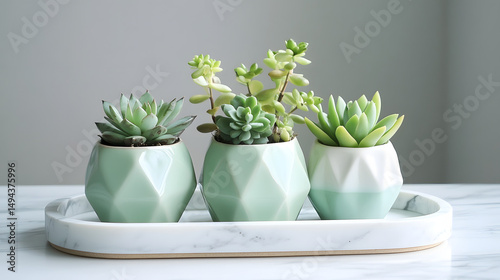 plant, pot, flower, leaf, nature, cactus, isolated, tree, houseplant, herb, botany, fresh, flora, decoration, succulent, growth, flowerpot, green, leaves, object, white background, aloe, herbal, garde