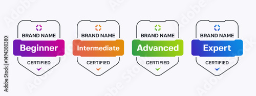 Professional Skill Level Shield Badges. Certified Level Badge Set Vector.