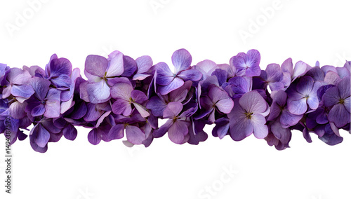 Purple hydrangea flower border floral arrangement