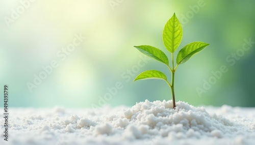 Tiny tree sprout, vibrant green, clean white setting, new, earth