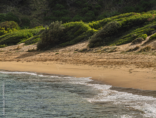 Green Bushes Run Down To Shelly Beach