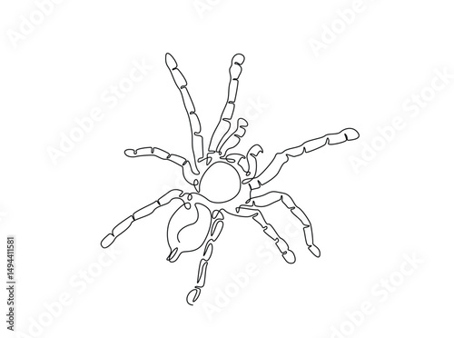 Tarantula spider single outline illustration. Continuous line art drawing of wild spider. Editable stroke.