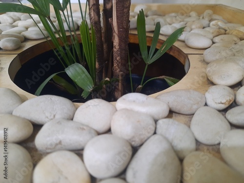 Photography zen stones and green leaves
