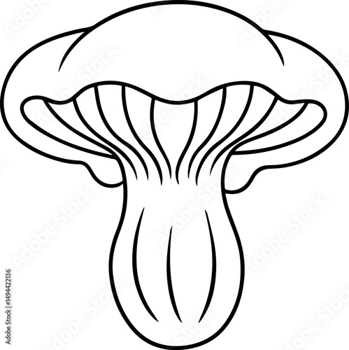 king oyster mushroom outline line art illustration, coloring book page