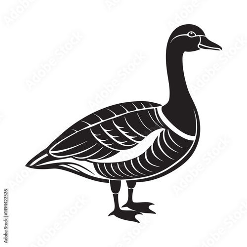 Red-breasted goose vector art silhouette.