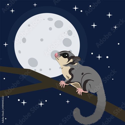 Animal Looking at Moon on Branch Under Starry Night Sky