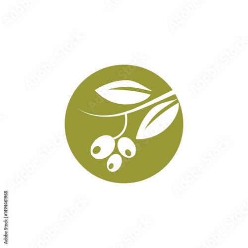 olive icon vector illustration