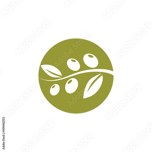 olive icon vector illustration