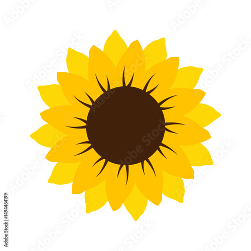 Vector multi color icon for Helianthus annuus