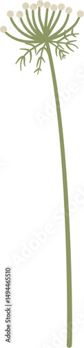 stylized Visnaga, Ammi visnaga
