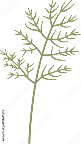 stylized Visnaga, Ammi visnaga