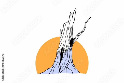 Old weathered tree stump with detailed bark texture showing natural aging and intricate wood patterns