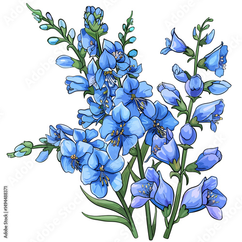 Delphinium flower on white 