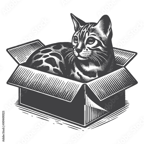 Vintage Hand-Drawn Bengal Cat in a Box Illustration – Feline Pet Engraved Style Vector for T-Shirts, Posters, Stickers, and Animal Lovers Apparel