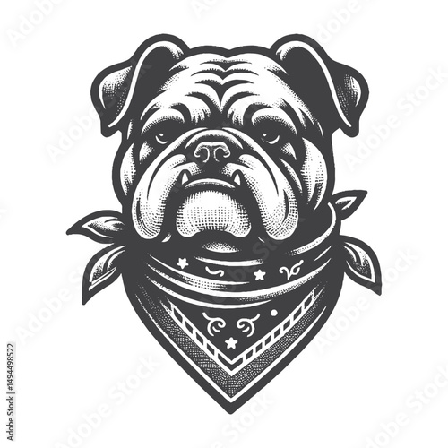 Vintage Hand-Drawn Bulldog Head with Bandana and Smirk Illustration – Canine Dog Engraved Style Vector for T-Shirts, Posters, Stickers, and Cool Pet Themes Apparel