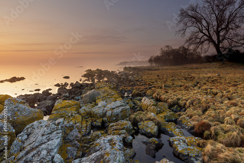 Misty morning