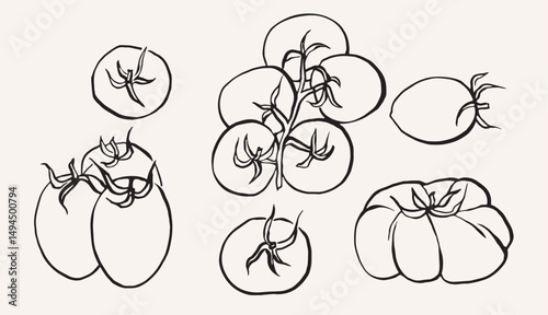 Line art tomatoes on vine collection