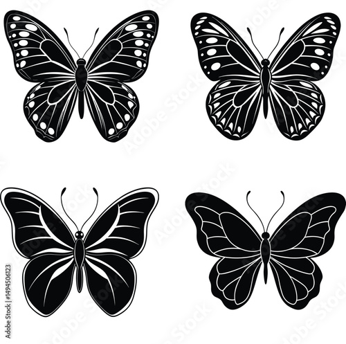"Butterfly in Nature: Colorful Insect with Delicate Wings"