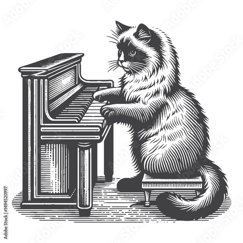 Vintage Hand-Drawn Ragdoll Cat Playing Piano Illustration – Musical Feline Engraved Style Vector for T-Shirts, Posters, Stickers, and Music Lover Apparel