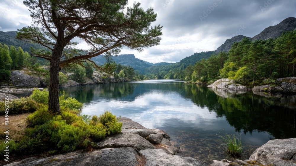 Fototapeta premium Scenic view of lake in pine forest with tree and rock concept. Serene lake view with trees, mountains, and reflections.