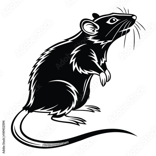 Silhouette of Standing Rat, Black Rodent Mammal Animal with Detailed Whisker, Tail