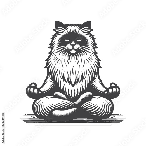 Vintage Hand-Drawn Ragdoll Cat Meditating with Calm Expression Illustration – Peaceful Feline Engraved Style Vector for T-Shirts, Posters, Stickers, and Mindfulness Apparel