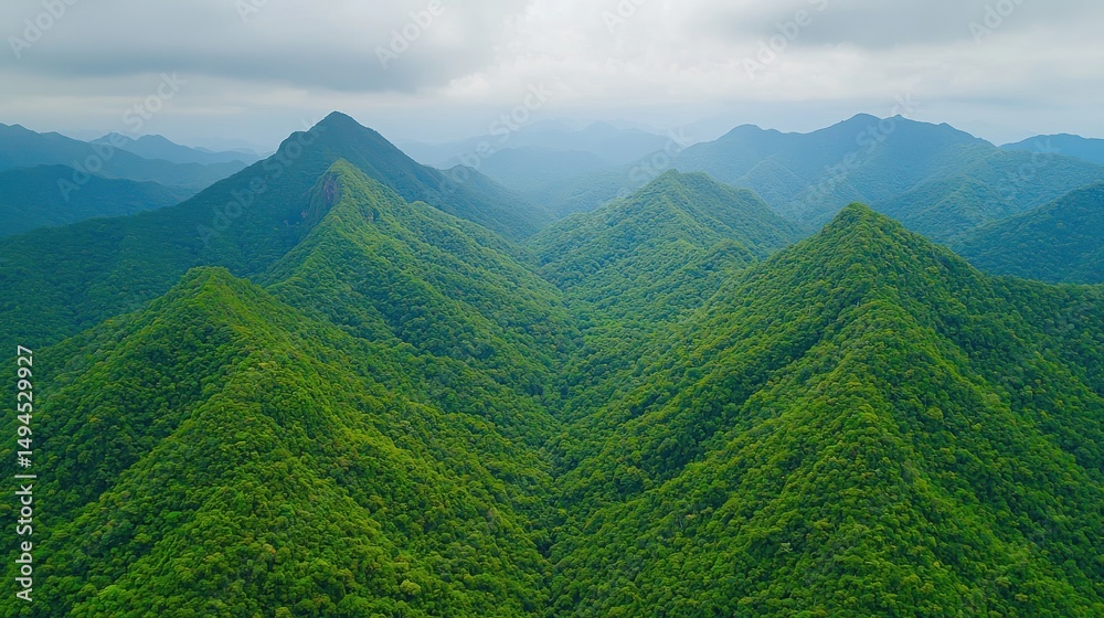 Fototapeta premium Earth Day Concept. Capturing a stunning aerial view of lush green mountains enveloped in mist and cloud, this image showcases the serene beauty of untouched nature.