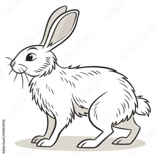 Cartoon White Hare with Black Outline, Detailed Fur, Standing Position, Facing Left