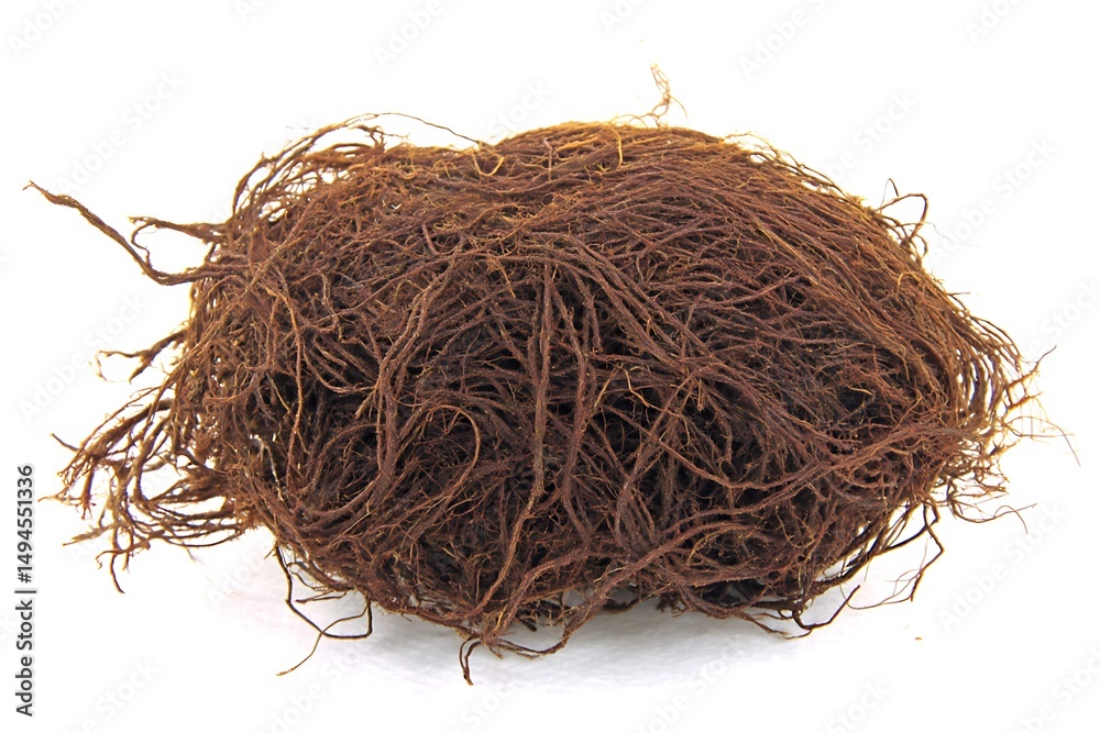 Obraz premium Ball of brown plant root fibers