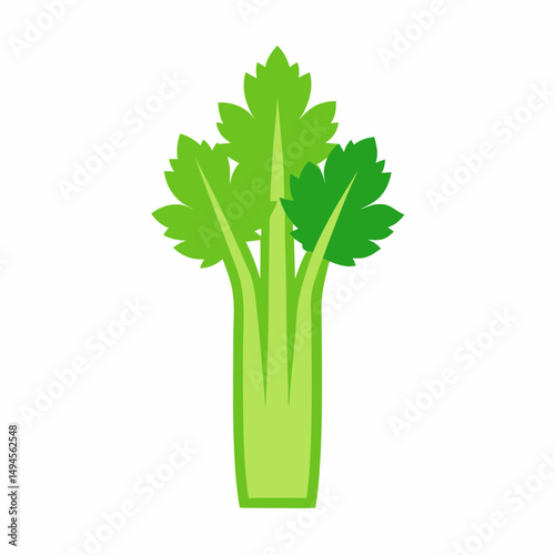 Celery icon on white background 