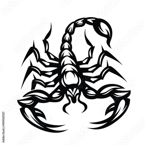 Detailed Monochrome Scorpion on a White Background, Arachnid, Design