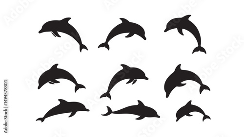 Varied Dolphin Silhouette Views