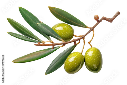 Wallpaper Mural PNG Green olives on branch with leaves isolated on black background Torontodigital.ca